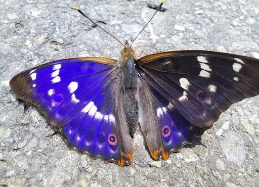 Zimmerei Stefan Kuhn - 