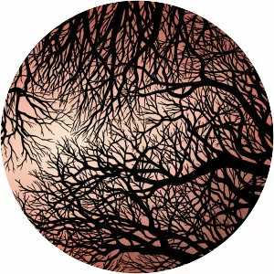 Zimpel / Ziolek - Album by Waclaw Zimpel / Jakub Ziolek