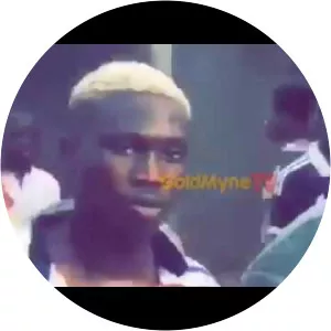 Zlatan Ibile