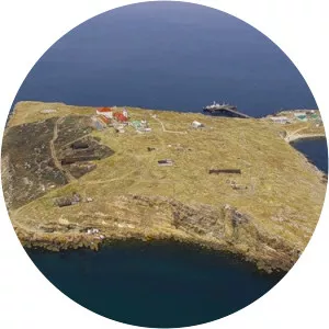 Zmiinyi Island - Island in the Black Sea