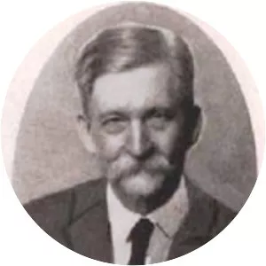 Zoltán Ambrus - Musician