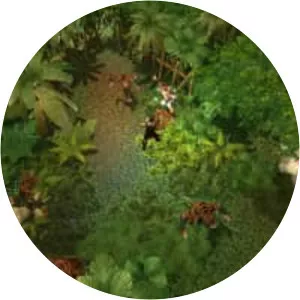 Zombasite - Video game