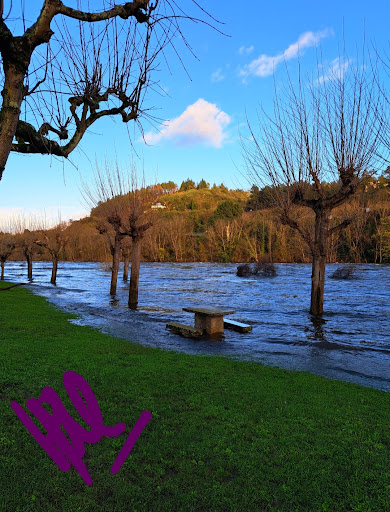 Zona Recreativa de Oira