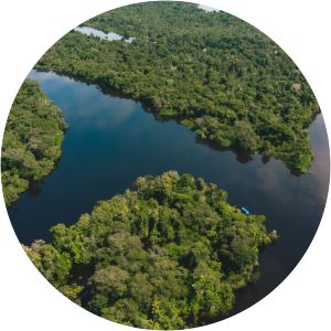 zona reservada yaguas área de conservación regional alto nanay-pintuyacu-chambira - 