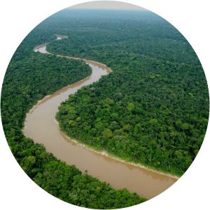 zona reservada yaguas area de conservacion regional ampiyacu