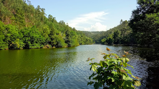 Zona ribeirinha do Inha - Ecological park in Canedo, Portugal