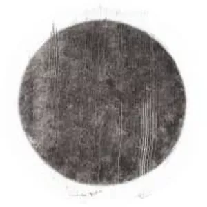 Zonal - Musical group