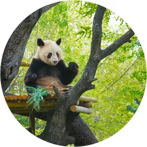 Zoo Aquarium de Madrid