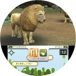 Zoo Resort 3D