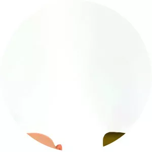 Zool Babies - TV program