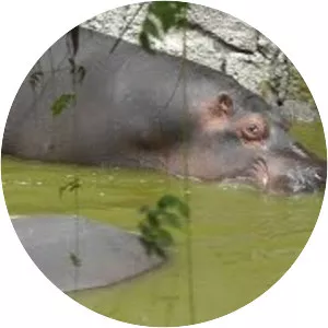 Zoológico de Chapultepec