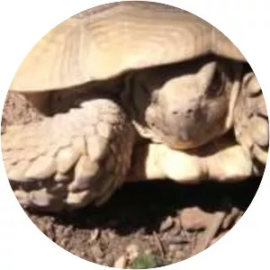 Zoológico Los Coyotes