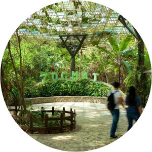 Zoológico Miguél Álvarez del Toro