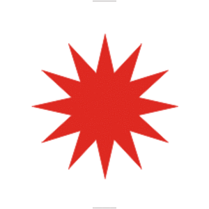 Zoram Nationalist Party