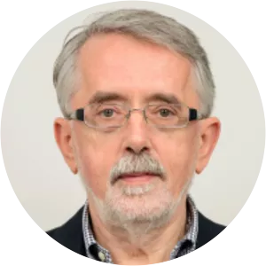 Zoran Salcic - Researcher