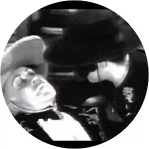 Zorro's Fighting Legion