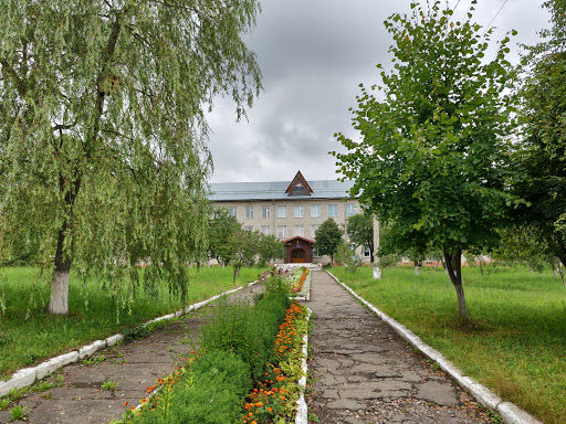 Zosh I-Iii Stupeniv Imeni Vasylya Verkhovyntsya - Public educational institution in Staryi Mizun', Ukraine