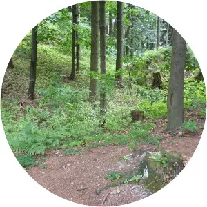 Zřícenina hradu Sehradice - 