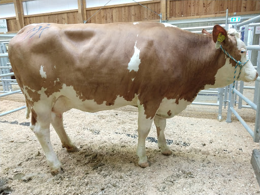 Zuchtverband Miesbach - Association / Organization