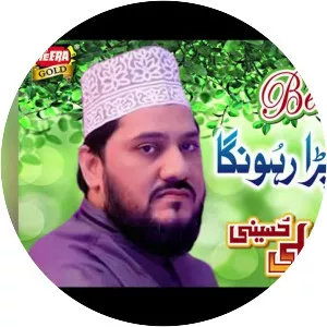 Zulfiqar Ali Hussaini