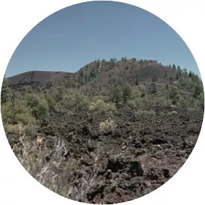 Zuni-Bandera volcanic field