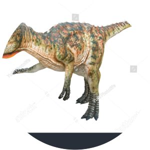 Zupaysaurus