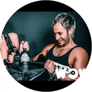 Zvika Brand - Musical artist