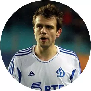 Zvjezdan Misimović - Bosnian former football player