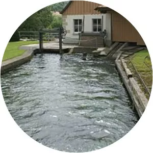 Zwiefalter Aach (Zwiefalter Ach)