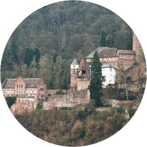 Zwingenberg Castle - 