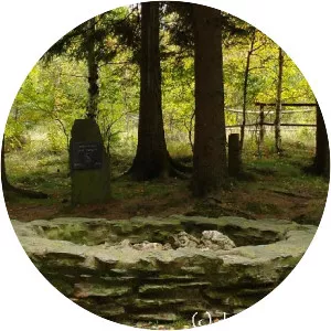 Zwönitzquelle - Spring in Germany