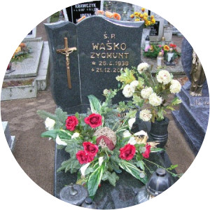 Zygmunt Waśko - Musical artist