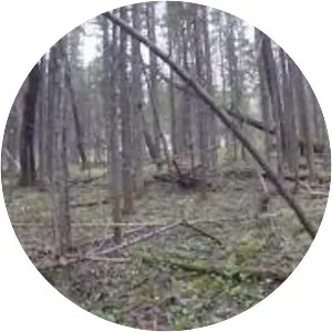 Zyuratkul National Park - 